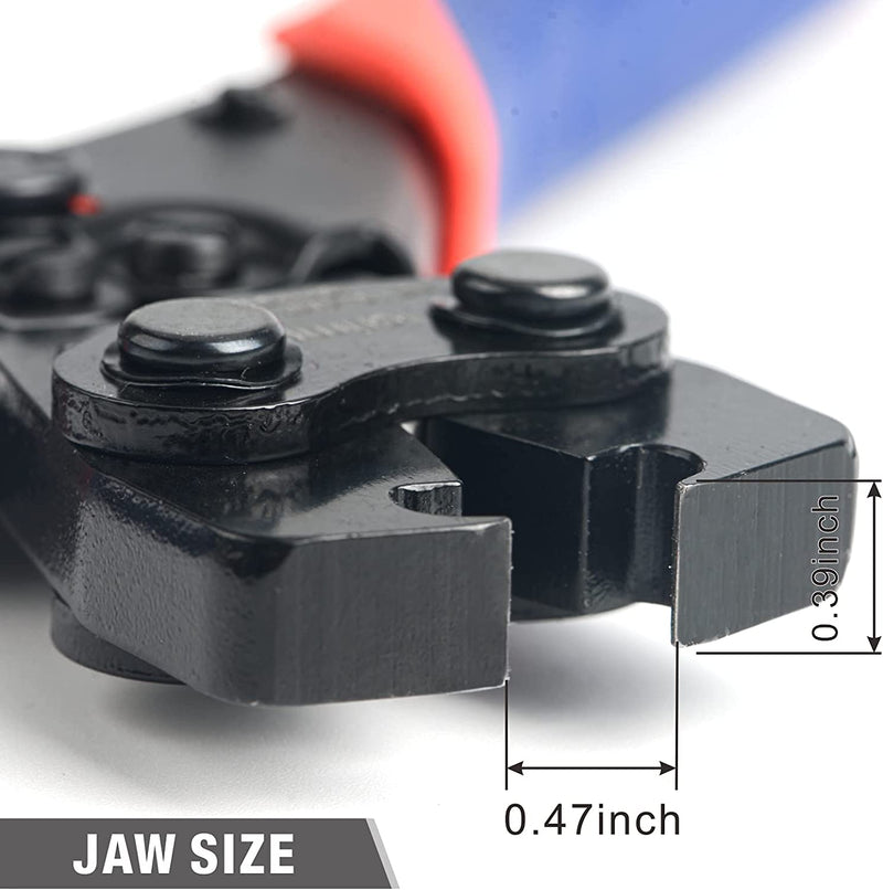 Jaw size